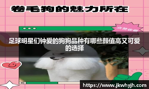 博鱼官网